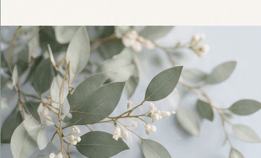 Soft eucalyptus branches on a dusty blue background